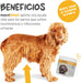 Suplemento urinário e vesical para cães maxxiUtract - ajuda à saúde do sistema urinário, controlo da bexiga e recorrência de ITU - com mirtilos - em pó 150 gr - PetDoctors - Loja Online