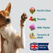 Suplementos para Articulações de cães e gatos - 100 Porções - Suplemento Natural Líquidos para articulação canina de ação rápida para cães idosos - PetDoctors - Loja Online