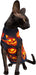 T-shirt Luciano's Halloween para Gato Sphynx - PetDoctors - Loja Online