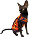 T-shirt Luciano's Halloween para Gato Sphynx - PetDoctors - Loja Online