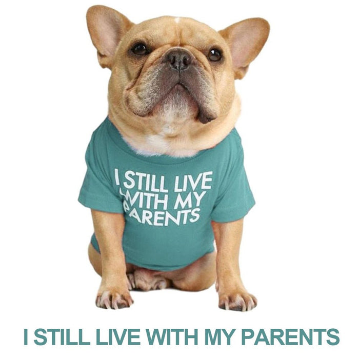 T-shirt para Cães - PetDoctors - Loja Online