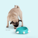 TAÇA / COMEDOURO PARA CÃO "BOSS SMALL" (GUZZINI) - PetDoctors - Loja Online