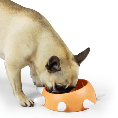 TAÇA / COMEDOURO PARA CÃO "BOSS SMALL" (GUZZINI) - PetDoctors - Loja Online