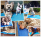 Tapete de Refrigeração para Cães ❤️🐶❤️ - PetDoctors - Loja Online