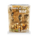 Taste of the Wild Canine Formula Lamb | Wet (Terrina) | 7 x 390 gramas | Ração Húmida para Cães - PetDoctors - Loja Online