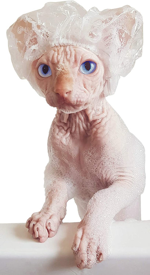 Toucas de Banho para Gatos Sphynx ou Cães de Raças Pequenas - 20 unidades - PetDoctors - Loja Online