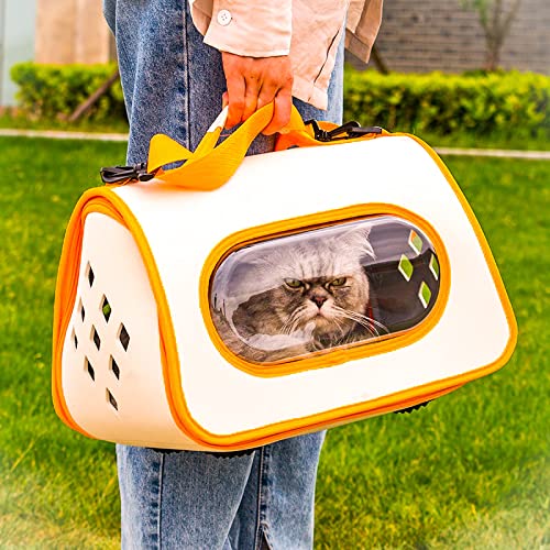 🐱 Transportadora de ombro para Gatos: transparente, leve e ventilada. ✓  Aprovada para Cabine de Avião 