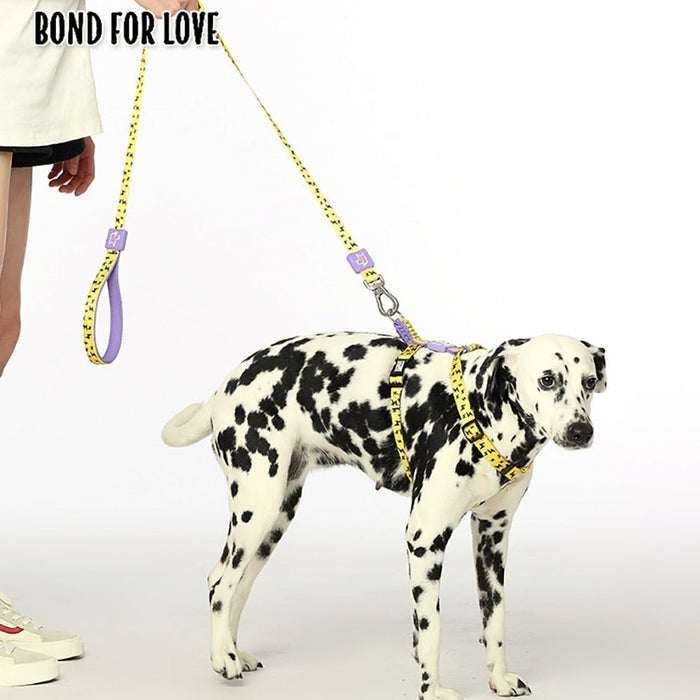 Trela "Bond4Love" para Cães, com 120 cm - PetDoctors - Loja Online