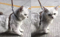 Trela / Peitoral Ajustável para Gatos - PetDoctors - Loja Online