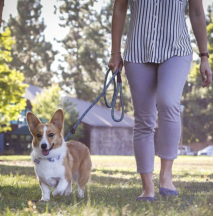 Trela tipo "slip rope", 2 em 1, ajustável, para Cães Médios e Grandes - PetDoctors - Loja Online