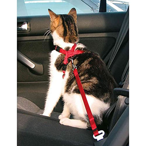 Trixie - Arnês para carro, para gatos - PetDoctors - Loja Online