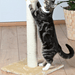 Trixie Parla Arranhador Post | Beige - PetDoctors - Loja Online