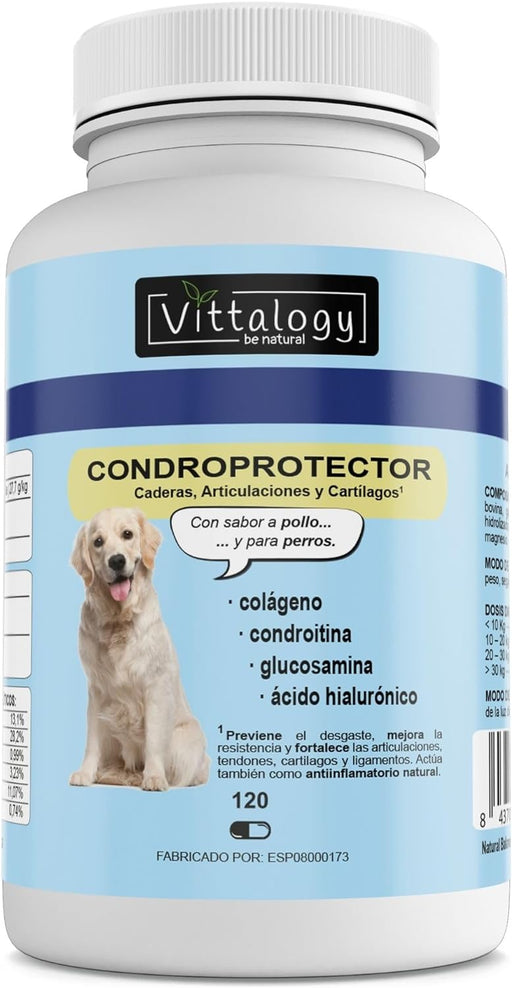 VITTALOGY Condroprotetor para cães. Anti-inflamatório natural com colagénio, condroitina, hialurónico e açafrão. Complemento alimentar para quadris, articulações e cartilagens (120 cápsulas) - PetDoctors - Loja Online