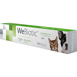 WeBiotic FAST | 15 ml | 30 ml - PetDoctors - Loja Online