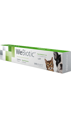 WeBiotic FAST | 15 ml | 30 ml - PetDoctors - Loja Online