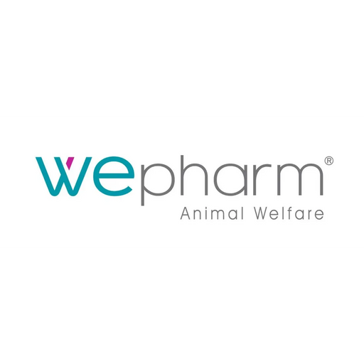 Webiotic Fast Pasta Oral 60 ml - PetDoctors - Loja Online