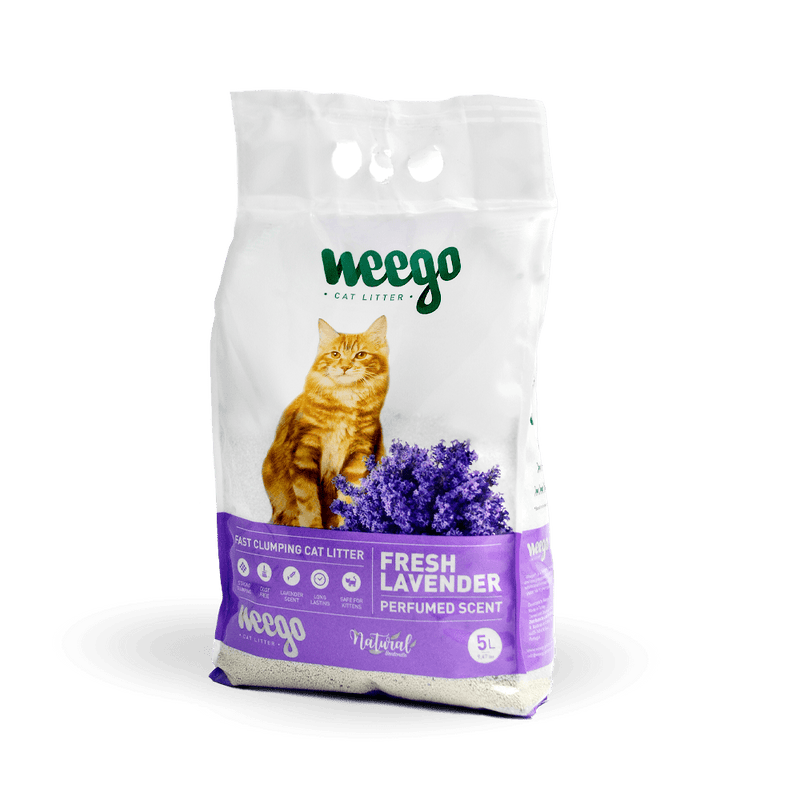 WEEGO - FRESH LAVENDER - Areia para Gatos (Odôr a Lavanda) - PetDoctors - Loja Online