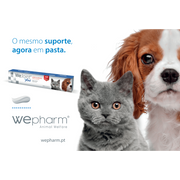 WeJoint Plus Pasta - PetDoctors - Loja Online