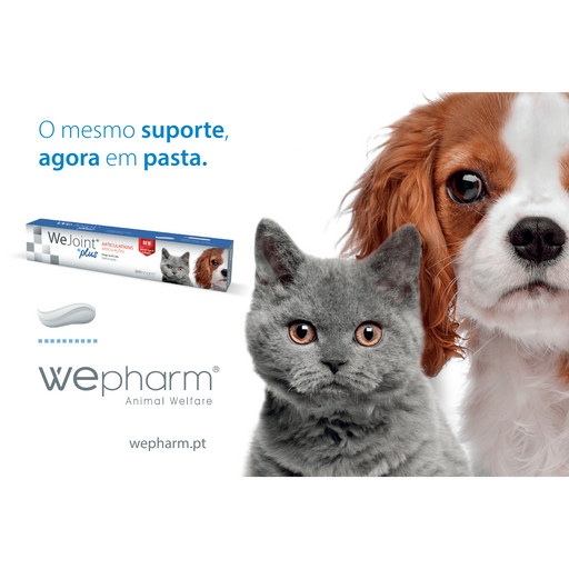 WeJoint Plus Pasta - PetDoctors - Loja Online
