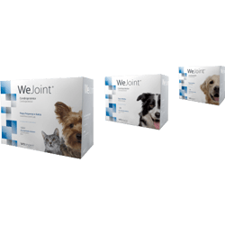 WeJoint | Raças Médias | 30 Comprimidos - PetDoctors - Loja Online