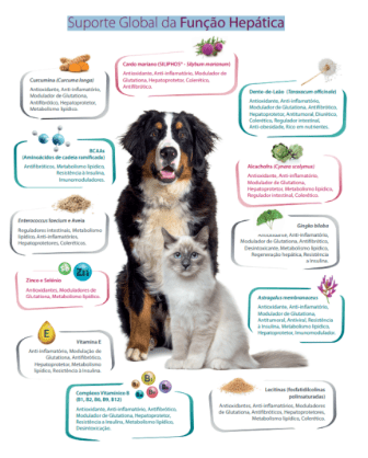 WePatiCare Função Hepática - para Raças Médias e Grandes - 30 Comprimidos - PetDoctors - Loja Online