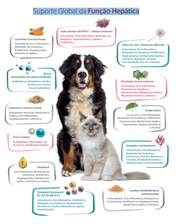 WePatiCare Função Hepática - para Raças Pequenas e Gatos - 30 Comprimidos - PetDoctors - Loja Online