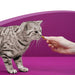 Whiskas Anti-Hairball para evitar as Bolas de Pêlo nos Gatos (Pack de 8 x 60g) - PetDoctors - Loja Online